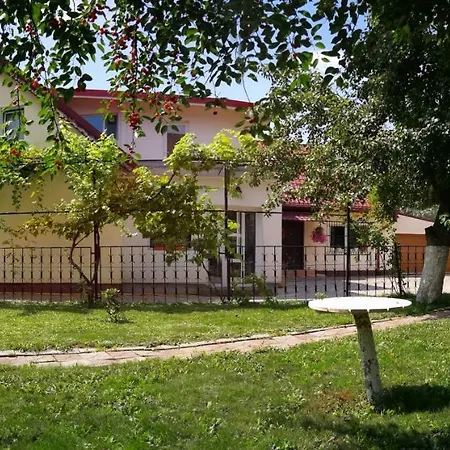 Guest house Coroni Brasov