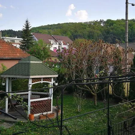 Coroni Guest house Brasov
