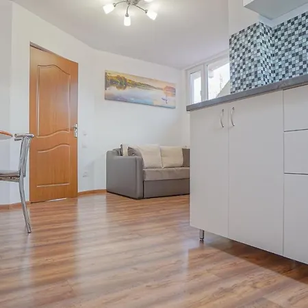 Guest house Coroni Brasov